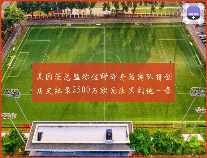 美因茨总监称佐野海舟若离队将创历史纪录2500万欧无法买到他一条腿